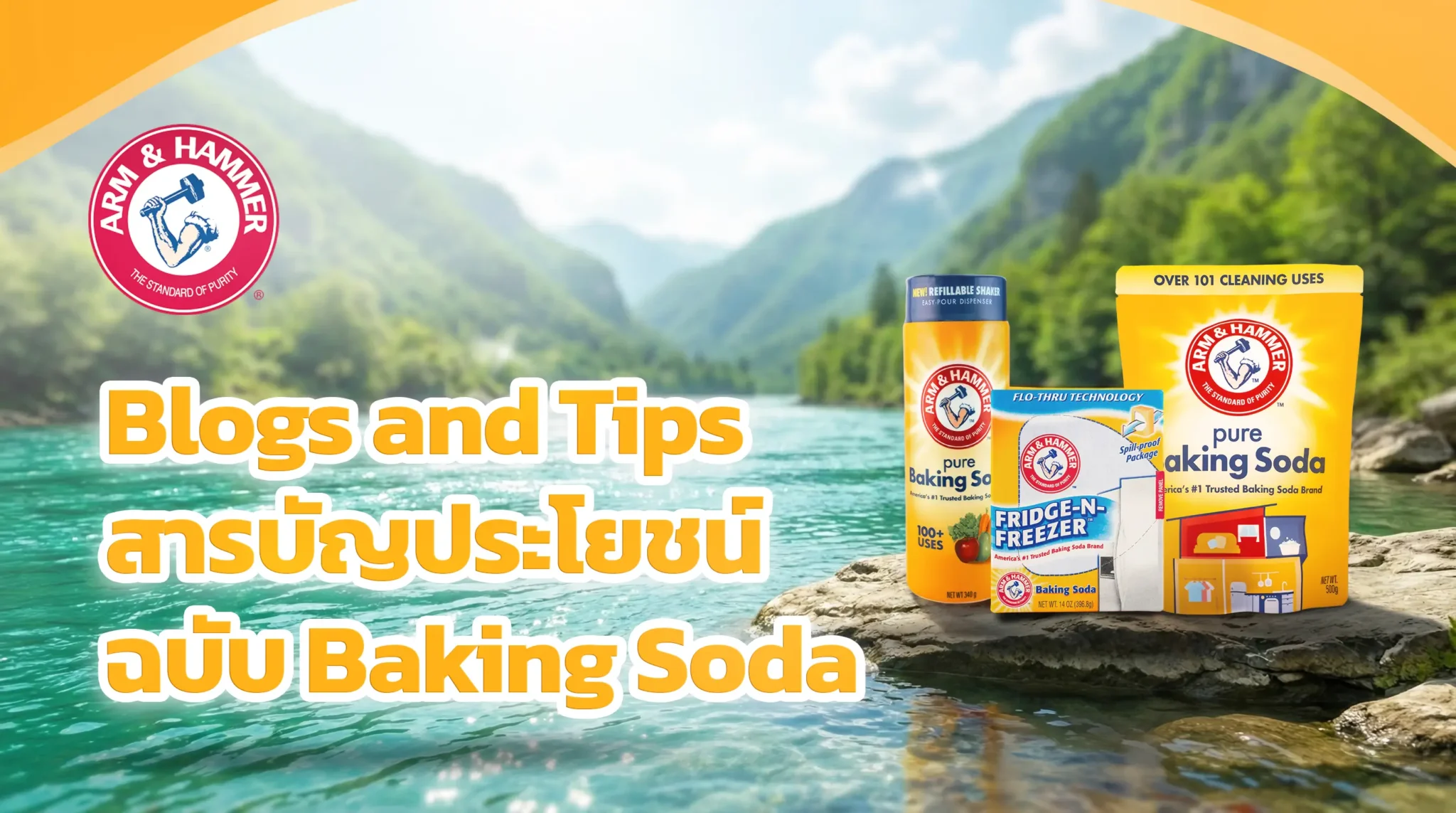 Blogs and Tips สารบัญประโยชน์ ฉบับ Baking Soda