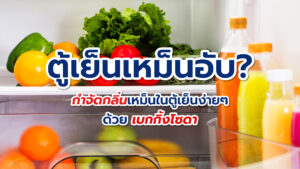 Arm & Hammer Baking Soda เบกกิ้งโซดา บริสุทธิ์ บริสุทธิ์แท้ 100% ตู้เย็นมีกลิ่น ตู้เย็นเหม็นอับ มีกลิ่น กลิ่นเหม็น กำจัดกลิ่นเหม็น ตู้เย็น Fridge-N-Freezer